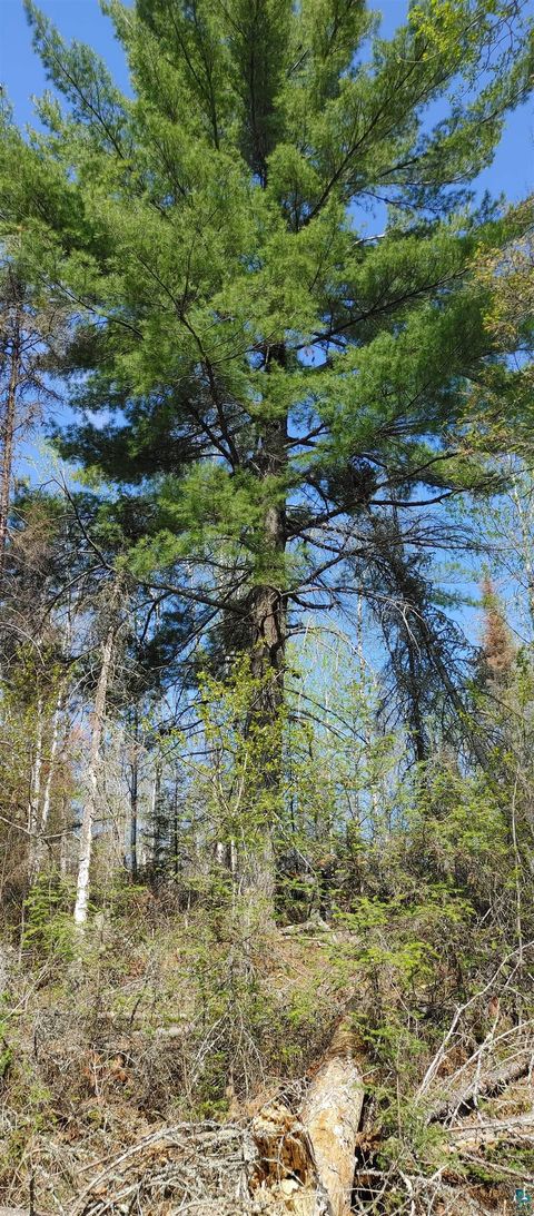 Tiny photo for 1687 Golden Ridge Tr, Ely, MN 55731 (MLS # 6124884)