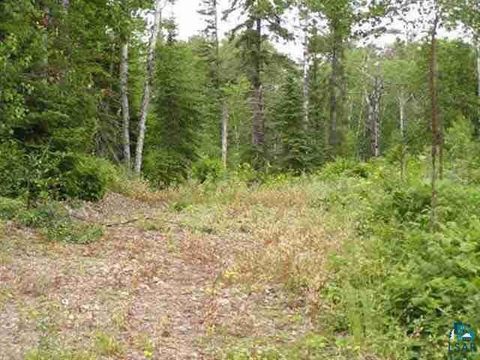 Tiny photo for 1687 Golden Ridge Tr, Ely, MN 55731 (MLS # 6124884)
