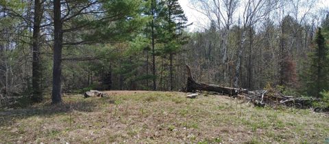 Tiny photo for 1687 Golden Ridge Tr, Ely, MN 55731 (MLS # 6124884)