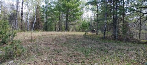Tiny photo for 1687 Golden Ridge Tr, Ely, MN 55731 (MLS # 6124884)