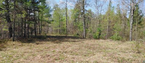 Tiny photo for 1687 Golden Ridge Tr, Ely, MN 55731 (MLS # 6124884)