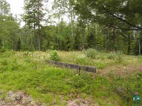 Tiny photo for 1687 Golden Ridge Tr, Ely, MN 55731 (MLS # 6124884)