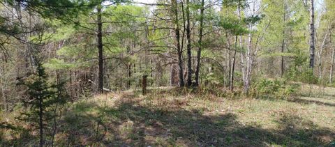 Tiny photo for 1687 Golden Ridge Tr, Ely, MN 55731 (MLS # 6124884)