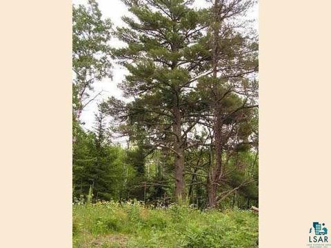 Photo of 1687 Golden Ridge Tr, Ely, MN 55731 (MLS # 6124884)