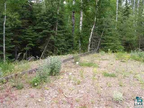 Tiny photo for 1687 Golden Ridge Tr, Ely, MN 55731 (MLS # 6124884)