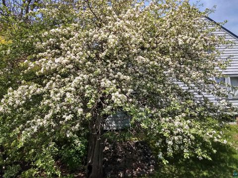 Tiny photo for 1815 Piedmont Ave, Duluth, MN 55811 (MLS # 6125598)