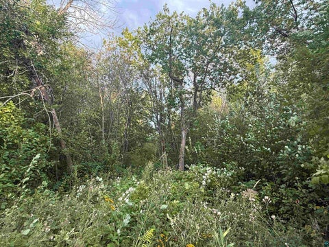 Tiny photo for 56 E Superior St, Duluth, MN 55804 (MLS # 6127788)