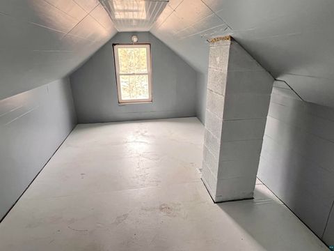 Tiny photo for 3907 Hartman Rd, Iron, MN 55751 (MLS # 6124440)