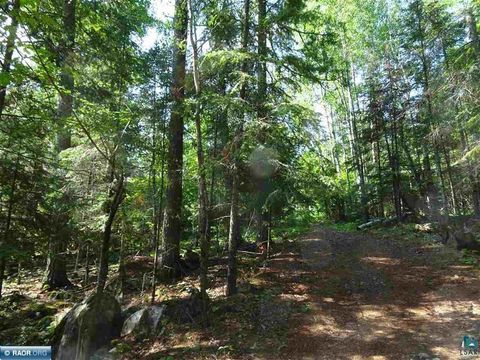 Tiny photo for 9245 Burris Dr, Cook, MN 55723 (MLS # 6123918)