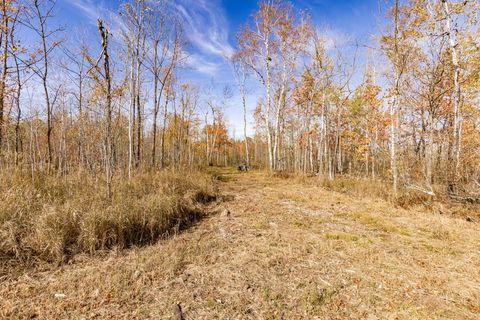Tiny photo for xxx Amity Drive, Duluth, MN 55803 (MLS # 6123649)