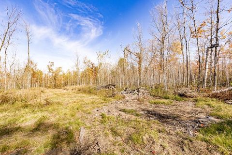 Tiny photo for xxx Amity Drive, Duluth, MN 55803 (MLS # 6123649)