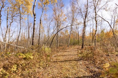 Tiny photo for xxx Amity Drive, Duluth, MN 55803 (MLS # 6123649)
