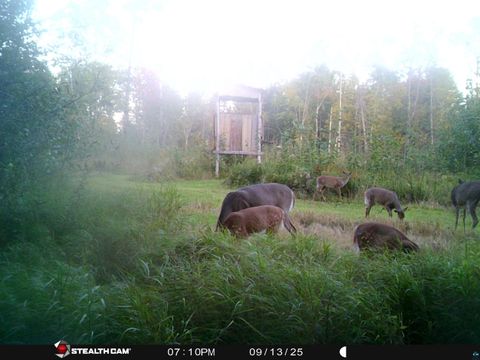 Tiny photo for 6355 Stoney Brook Rd, Alborn, MN 55702 (MLS # 6124533)