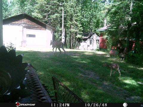 Tiny photo for 6355 Stoney Brook Rd, Alborn, MN 55702 (MLS # 6124533)
