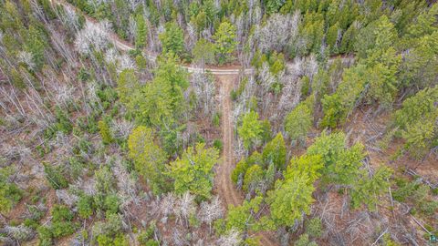 Tiny photo for TBD Lindbeck Rd, Ely, MN 55731 (MLS # 6125106)