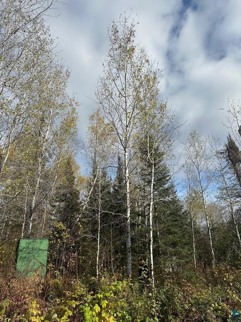 Tiny photo for 7064 Cramer Rd, Finland, MN 55603 (MLS # 6124990)