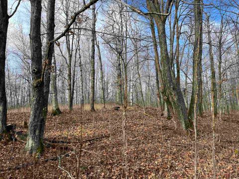 Tiny photo for xxx Lavaque Rd, Hermantown, MN 55811 (MLS # 6122261)