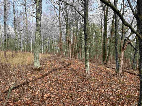 Tiny photo for xxx Lavaque Rd, Hermantown, MN 55811 (MLS # 6122261)