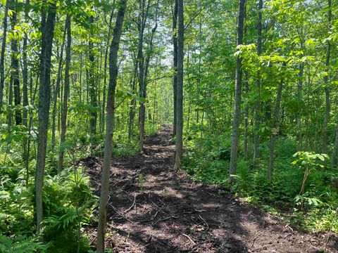 Tiny photo for xxx Lavaque Rd, Hermantown, MN 55811 (MLS # 6122261)