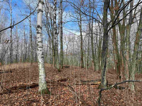 Tiny photo for xxx Lavaque Rd, Hermantown, MN 55811 (MLS # 6122261)