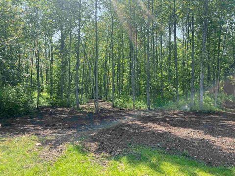 Tiny photo for xxx Lavaque Rd, Hermantown, MN 55811 (MLS # 6122261)