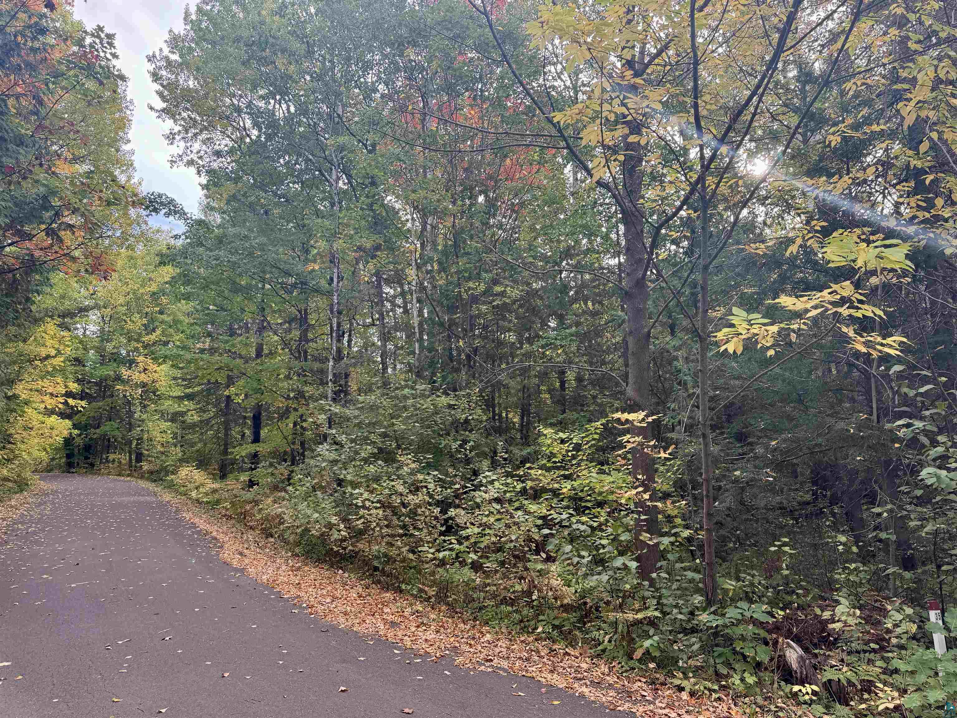 TBD Eagle Run