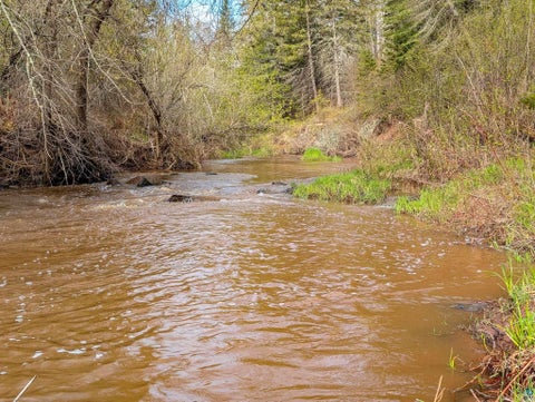 Tiny photo for 992 Nemadji River Rd, Holyoke, MN 55749 (MLS # 6125548)