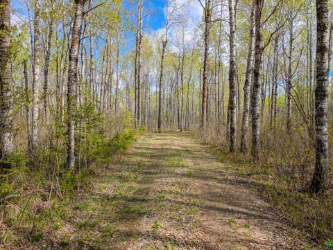 Tiny photo for 992 Nemadji River Rd, Holyoke, MN 55749 (MLS # 6125548)