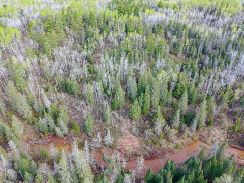 Tiny photo for 992 Nemadji River Rd, Holyoke, MN 55749 (MLS # 6125548)