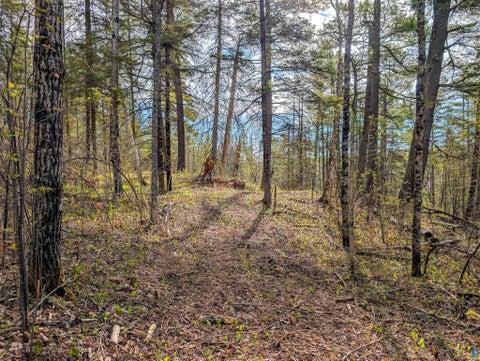 Tiny photo for 992 Nemadji River Rd, Holyoke, MN 55749 (MLS # 6125548)