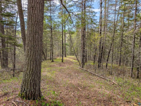 Tiny photo for 992 Nemadji River Rd, Holyoke, MN 55749 (MLS # 6125548)