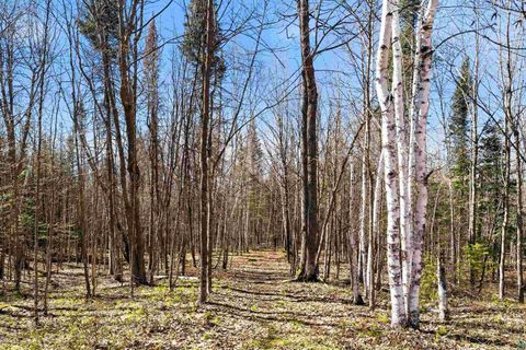 Tiny photo for 5541 Industrial Rd, Duluth, MN 55811 (MLS # 6125247)