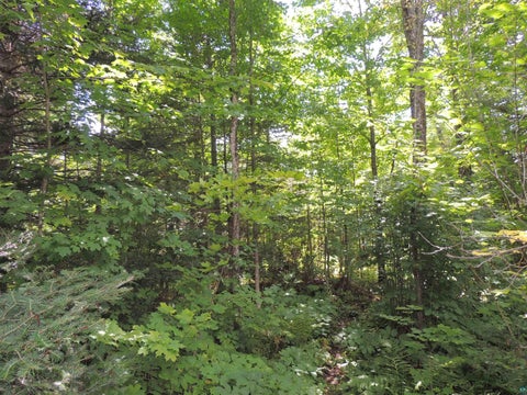 Tiny photo for 112 County Rd 60, Grand Marais, MN 55604 (MLS # 6127781)
