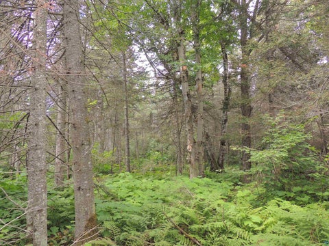 Tiny photo for 112 County Rd 60, Grand Marais, MN 55604 (MLS # 6127781)