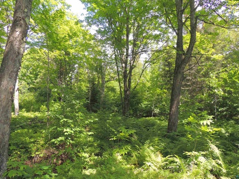 Tiny photo for 112 County Rd 60, Grand Marais, MN 55604 (MLS # 6127781)