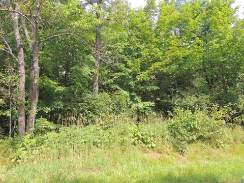 Tiny photo for 112 County Rd 60, Grand Marais, MN 55604 (MLS # 6127781)