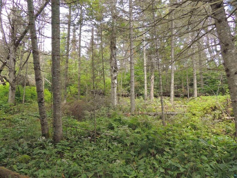 Tiny photo for 112 County Rd 60, Grand Marais, MN 55604 (MLS # 6127781)