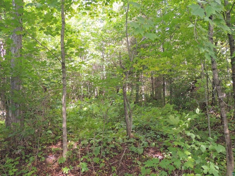Tiny photo for 112 County Rd 60, Grand Marais, MN 55604 (MLS # 6127781)