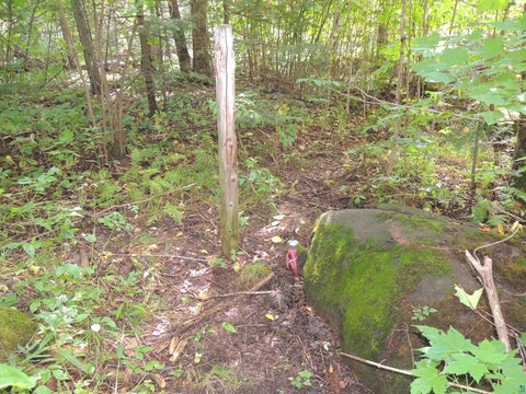 Tiny photo for 112 County Rd 60, Grand Marais, MN 55604 (MLS # 6127781)