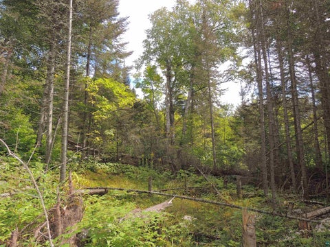 Tiny photo for 112 County Rd 60, Grand Marais, MN 55604 (MLS # 6127781)