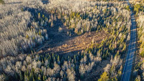 Tiny photo for 8359 Hwy 135, Embarrass, MN 55732 (MLS # 6123035)