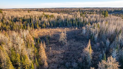 Tiny photo for 8359 Hwy 135, Embarrass, MN 55732 (MLS # 6123035)