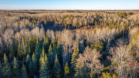 Tiny photo for 8359 Hwy 135, Embarrass, MN 55732 (MLS # 6123035)