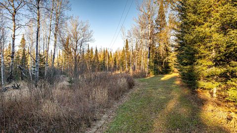 Tiny photo for 8359 Hwy 135, Embarrass, MN 55732 (MLS # 6123035)