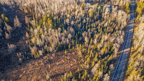 Tiny photo for 8359 Hwy 135, Embarrass, MN 55732 (MLS # 6123035)