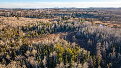 Tiny photo for 8359 Hwy 135, Embarrass, MN 55732 (MLS # 6123035)