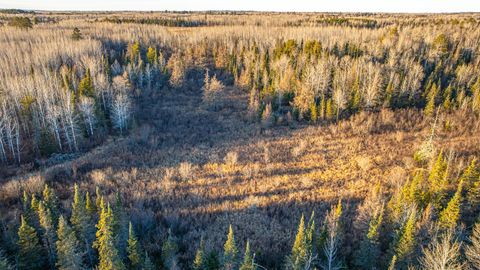 Tiny photo for 8359 Hwy 135, Embarrass, MN 55732 (MLS # 6123035)