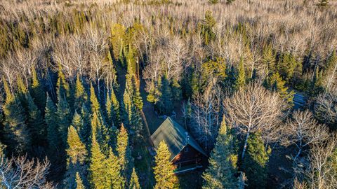 Tiny photo for 8359 Hwy 135, Embarrass, MN 55732 (MLS # 6123035)