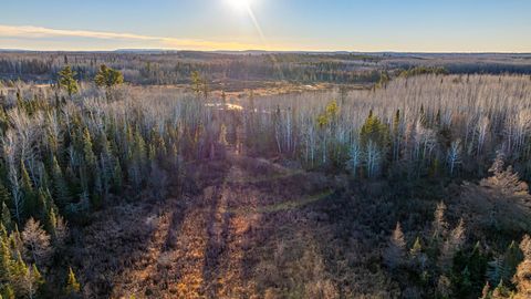 Tiny photo for 8359 Hwy 135, Embarrass, MN 55732 (MLS # 6123035)