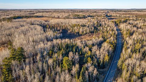 Tiny photo for 8359 Hwy 135, Embarrass, MN 55732 (MLS # 6123035)